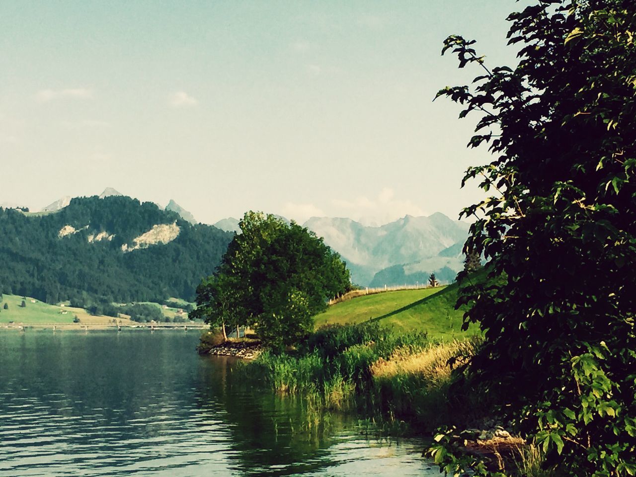 mountain, tranquil scene, tranquility, water, scenics, tree, sky, beauty in nature, mountain range, lake, nature, waterfront, landscape, river, idyllic, non-urban scene, day, cloud, growth, green color