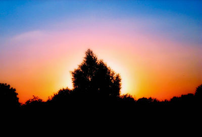 Silhouette of trees at sunset