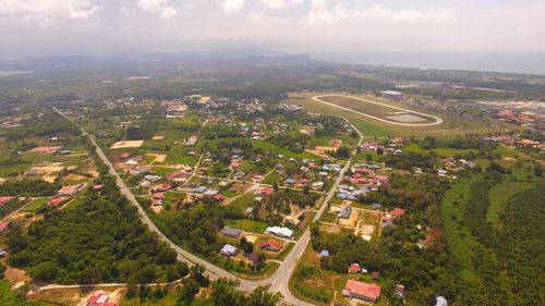 High angle view of trees and buildings in city