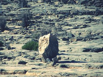 Full frame shot of rocky surface