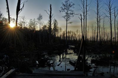 Silhouette trees on landscape against sky at sunset