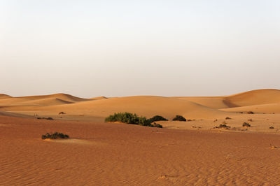 Wide desert landscape with sand dunes in the evening light, dubai, united arab emirates
