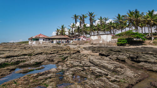 Views of the west african coast of ghana with palm trees and coastline buildings