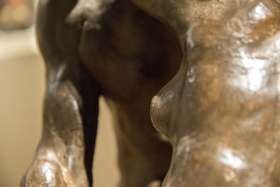 Close-up of statue in museum