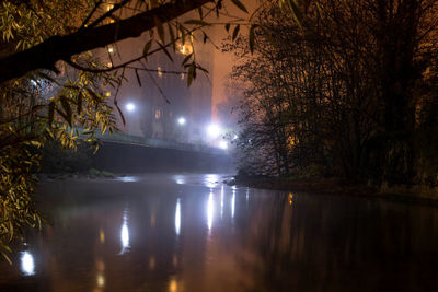 Reflection of trees in lake at night