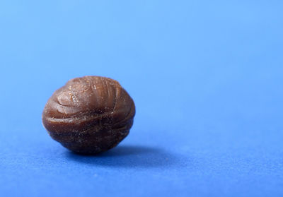 Close-up of bread over white background