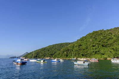 Fishing boats floating on calm waters in ilha grande bay in angra dos reis with the rainforest