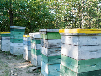 Wooden beehives against trees