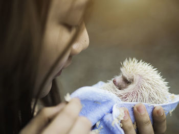 Close-up of young woman holding hedgehog