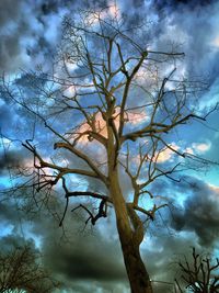 Low angle view of bare tree against cloudy sky