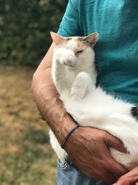 Full length of hand holding cat