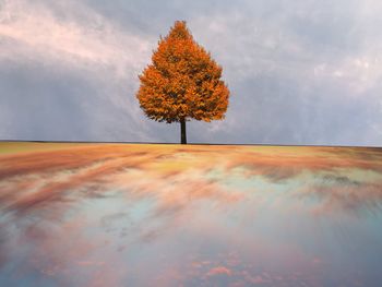 Scenic view of trees on field against sky during autumn