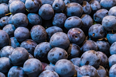 Ripe plums in market for sale