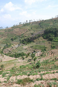 High angle view of agricultural field against sky