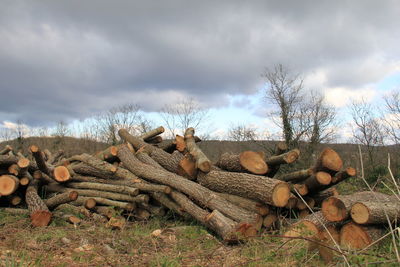 Stack of logs on field against sky