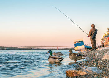 Rear view of man sitting on sea against clear sky during sunset