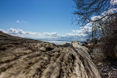 Scenic view of landscape against blue sky