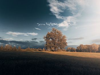 sky