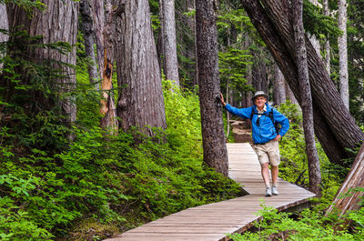 Mature man standing on boardwalk amidst tree in forest