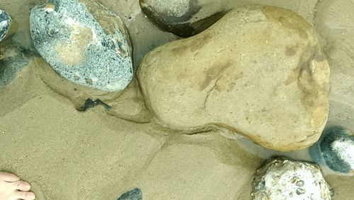 High angle view of rocks by sea