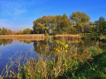 Scenic view of lake against blue sky