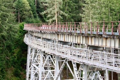 View of bridge in forest