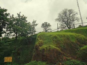 Trees on field against sky