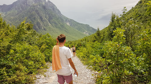 Rear view of man standing amidst trees against mountain