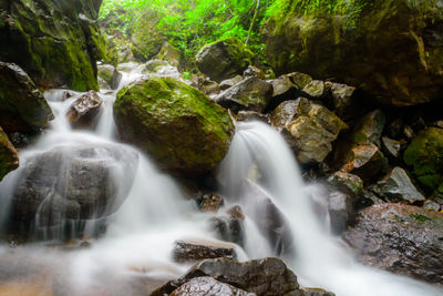 Scenic view of waterfall in forest