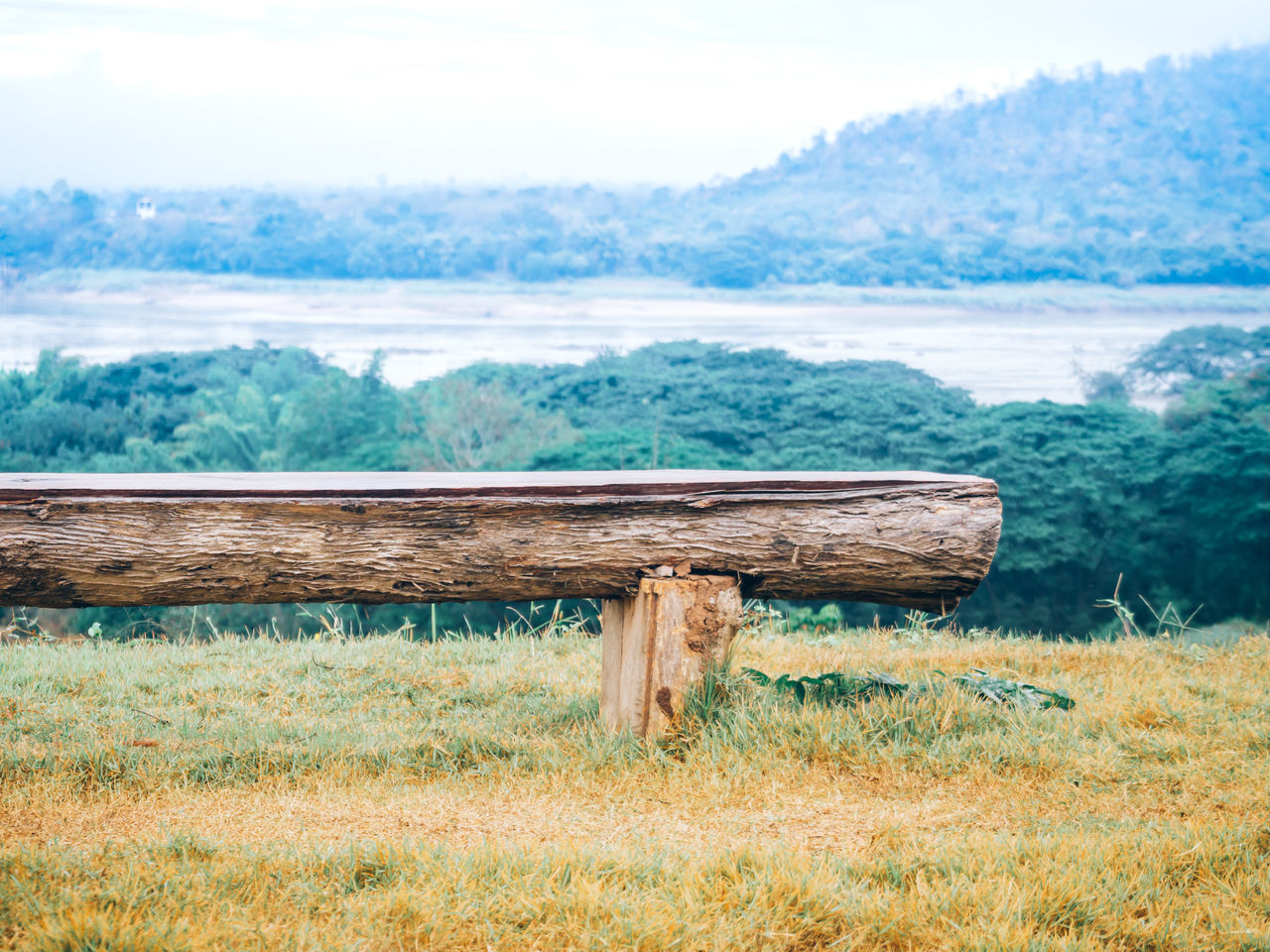 WOODEN STRUCTURE ON FIELD