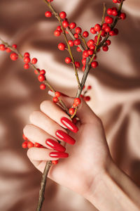 The hands of a young girl with red manicure on her nails hold a decorative branch 