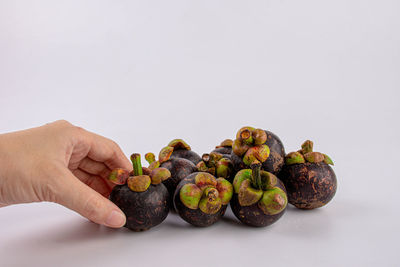 Close-up of hand holding fruit against white background