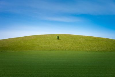 Scenic view of green landscape against sky