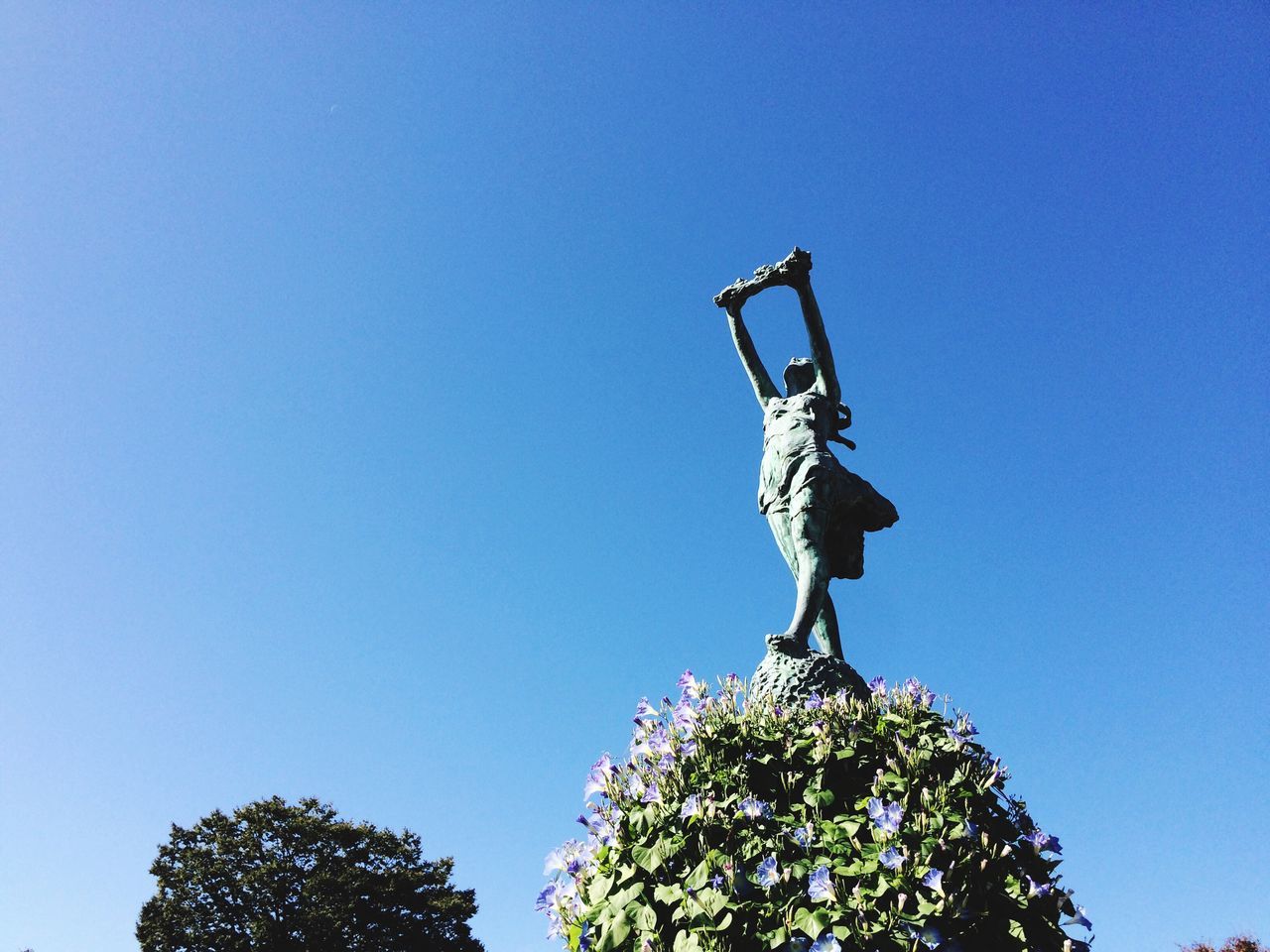 blue, clear sky, low angle view, sky, flower, tree, no people, outdoors, sculpture, day, statue, nature