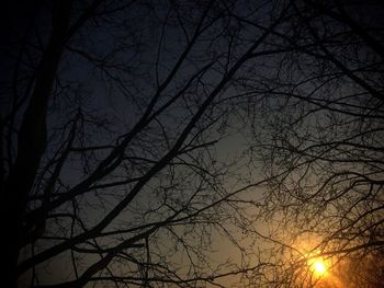 Low angle view of bare trees against sky at sunset