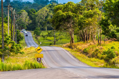 Road amidst trees