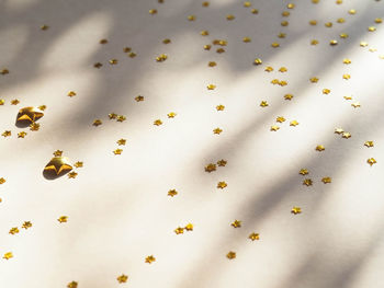 Gold stars background with shadows on beige background 