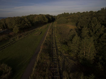 Panoramic view of road amidst trees against sky