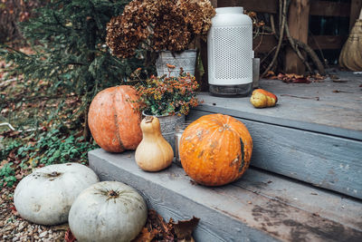 High angle view of pumpkins on table