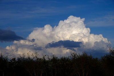 sky