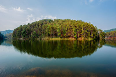 Scenic view of lake by trees against sky