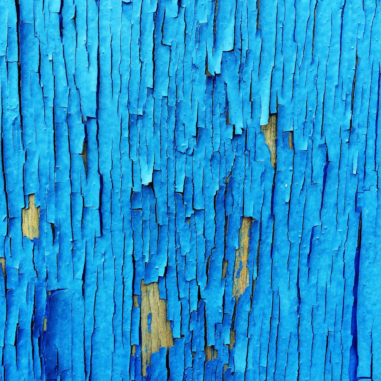 IPS2016Texture