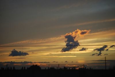 Silhouette of trees at sunset