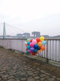 Various flowers on railing against bridge in city against clear sky