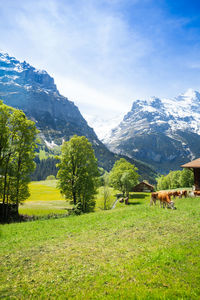 Scenic view of landscape and mountains against sky