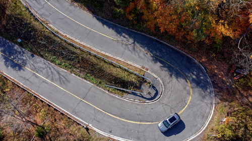 High angle view of road amidst trees