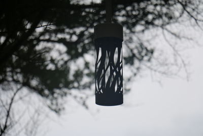 Close-up of plants against sky