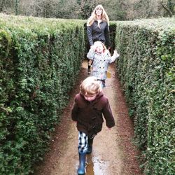 Family walking amidst hedge at park