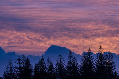 Low angle view of silhouette trees against sky during sunset