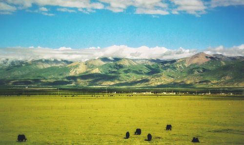 Scenic view of landscape and mountains against sky